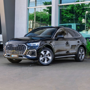 Audi Q5 Performance 2.0 TFSIe S.Tr. Qt (Hib.)