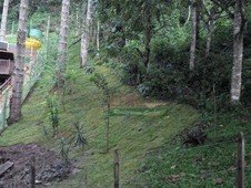 Terreno à venda no bairro Centro em Santo Antônio do Pinhal