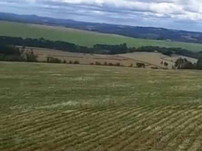 Fazenda à venda no bairro Centro - Tibagi/PR