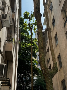 Apartamento em Flamengo, Rio de Janeiro/RJ de 200m² 3 quartos à venda por R$ 1.849.000,00
