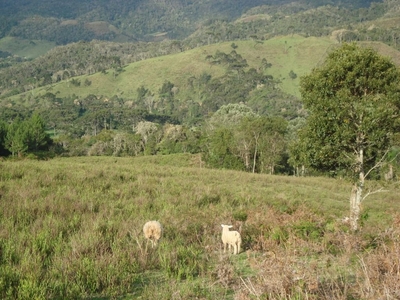 Sítio em , Rancho Queimado/SC de 0m² à venda por R$ 749.000,00