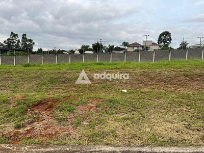 Terreno em Estrela, Ponta Grossa/PR de 10m² à venda por R$ 697.000,00