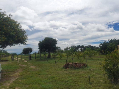Sítio em Área Rural, São Mamede/PB de 0m² 3 quartos à venda por R$ 249.000,00