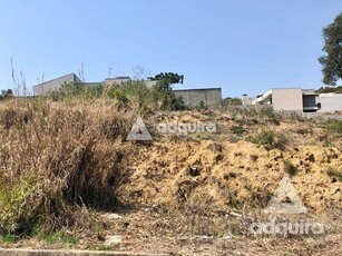 Terreno em Estrela, Ponta Grossa/PR de 10m² à venda por R$ 398.000,00