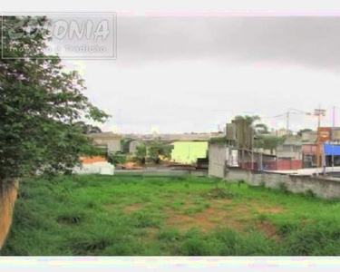 Santo André - Terreno Padrão - Campestre