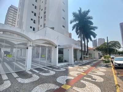 Oportunidade - amplo apartamento - Edifício Polaris