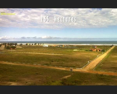 Lindos Terrenos a BEIRA-MAR em Santa Catarina!