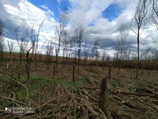 Sítio à venda no bairro Zona Rural em Paulo de Faria