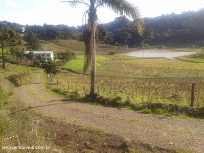 Sítio à venda no bairro em Caxias do Sul