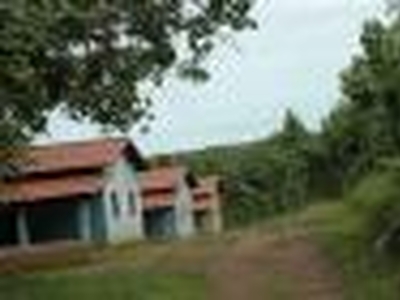 Fazenda de Teca em Tocantins com 209 hectares