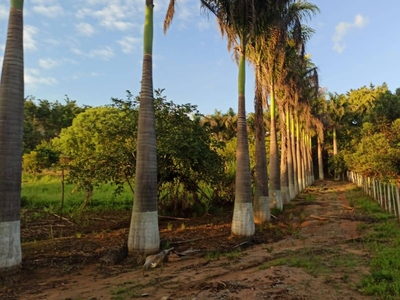 Fazenda em Jardim Nossa Senhora das Graças, Itatiba/SP de 25000m² à venda por R$ 1.099.000,00