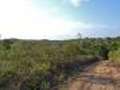 Terreno com Vista Panoramica e 110000 m2 na praia de Trancoso