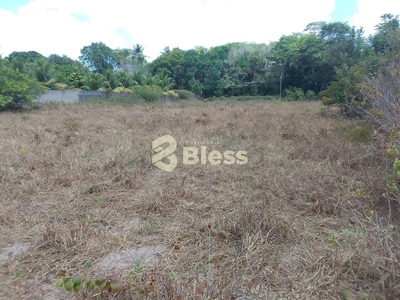 Terreno em Bonfim, Nísia Floresta/RN de 4000m² à venda por R$ 100.000,00