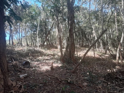 Terreno em Engenho do Mato, Niterói/RJ de 0m² à venda por R$ 183.000,00