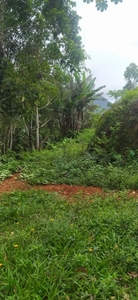 Terreno em Itamambuca, Ubatuba/SP de 10m² à venda por R$ 199.000,00