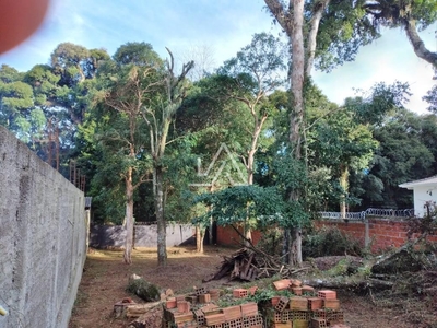 Terreno em Lucas Araújo, Passo Fundo/RS de 396m² à venda por R$ 208.000,00