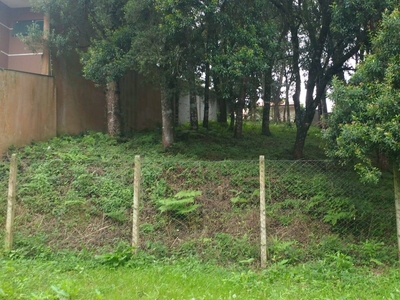 Terreno em Santa Felicidade, Curitiba/PR de 495m² à venda por R$ 458.000,00