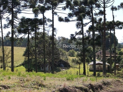 Terreno em Ulisses De Abreu, Canela/RS de 376m² à venda por R$ 138.000,00