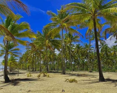 TERRENO RESIDENCIAL em SANTA CRUZ CABRÁLIA - BA, Pé na Areia em Mogiquiçaba