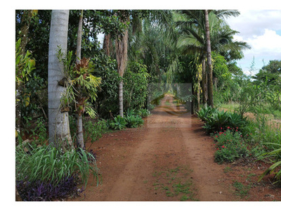 Chácara À Venda, Barra Do Jacutinga, Ibiporã, Pr