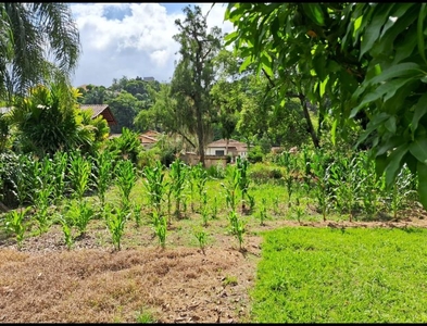 Terreno no Bairro Garcia em Blumenau com 4050 m²