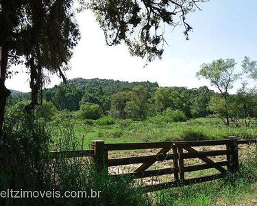 Área de Terra com 4 Dormitorio(s) localizado(a) no bairro Rincão da Saudade em Estância V