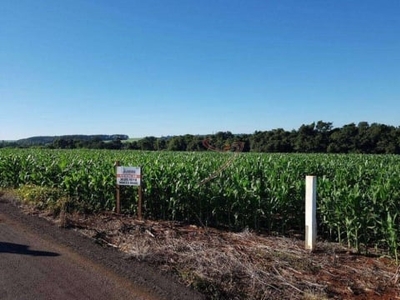 Área na av. felipe wandscheer com 10.649 m2 - com mata e riacho - 15 min do centro.