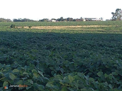 Fazenda com 2 dormitórios à venda, 5720000 m² por r$ 11.440.000,00 - zona rural - santana do livramento/rs