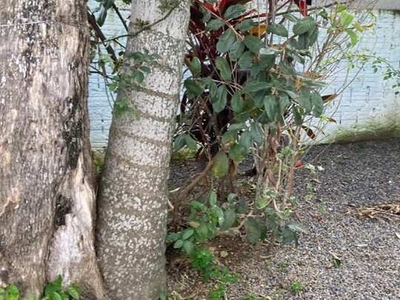 ALUGA CASA NO BAIRRO DOM BOSCO EM ITAJAÍ/SC