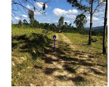 03m-Terrenos para fazenda com excelente localização