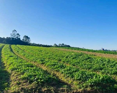 Conquiste Seu Terreno dos Sonhos em Ibiúna SP