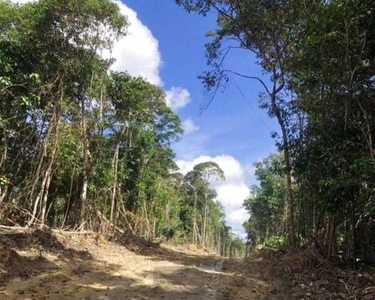 Terreno no brasileirinho