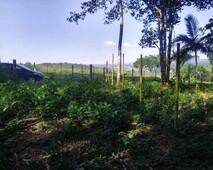 Lindo terreno em São Lourenço da serra