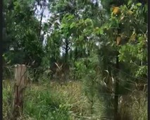 Terreno enorme Chácara com venda por R$35.000