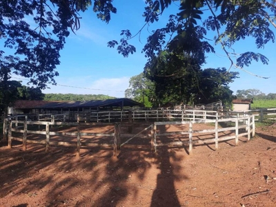 fazenda Unai MG 238 hectares 6.000.000,00 a 8 km do asfalto ,