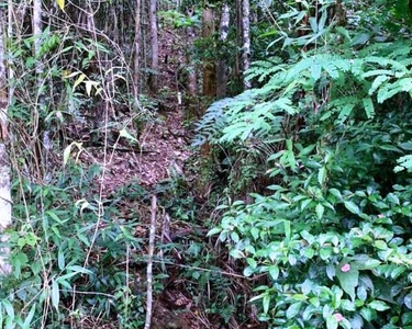 Terreno em São Lourenço da Serra, medindo 3.000,00 m²