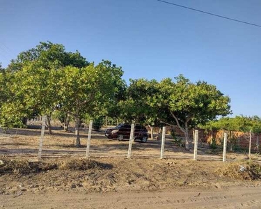 Terreno No Mundo Novo Horizonte