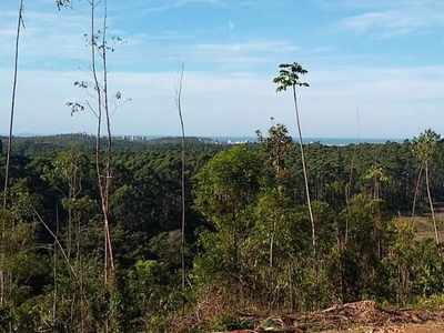 Terreno para Venda em Barra Velha, Itajuba com 1.680 m² (28x60)