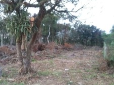 Terreno à venda no bairro Campo D'una em Garopaba