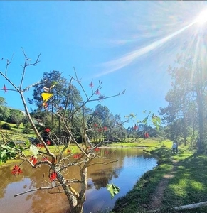 Sítio em Centro (Canguera), São Roque/SP de 1250m² 6 quartos à venda por R$ 2.699.000,00