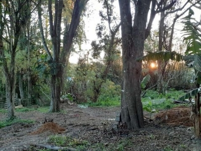 Terreno em condomínio fechado à venda na rua pau de canela, --, rio tavares, florianópolis por r$ 3.200.000