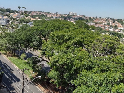 Magnífico Apartamento na Vila Marieta- Campinas/SP