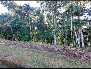 Terreno no Bairro Velha em Blumenau com 765 m²