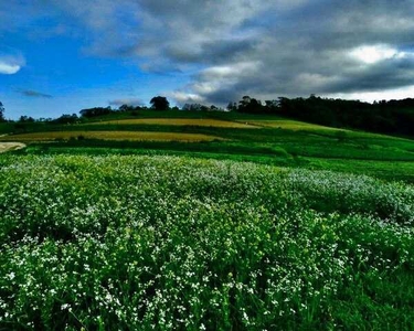 14-o Terreno em otima região