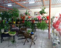Loja comercial floricultura para aluguel e venda tem 4000 metros quadrados