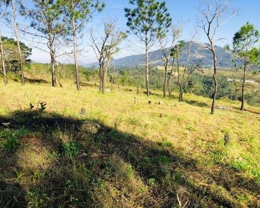 Lote/Terreno para venda tem 1000 metros quadrados em Barreiro - Mairiporã - SP