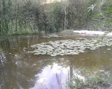 Sitio em Areia Branca, Com Viveiro / 800m²