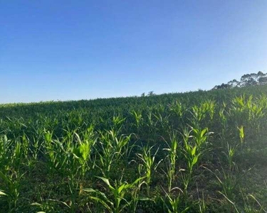 Terreno a venda direto com o proprietário