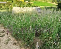 TERRENO RESIDENCIAL, LOCALIZADO NO LOTEAMENTO SERRA AZUL, BAIRRO ÁGUA DOCE, JUNDIAÍ