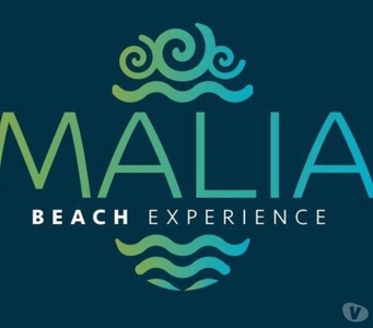 Malia Beach Experience